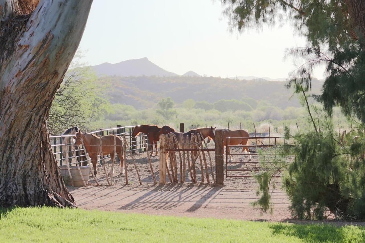 Hotel Kay El Bar Guest Ranch Wickenburg Exteriér fotografie