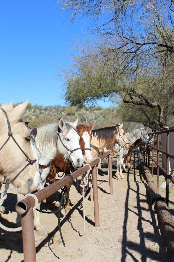 Hotel Kay El Bar Guest Ranch Wickenburg Exteriér fotografie
