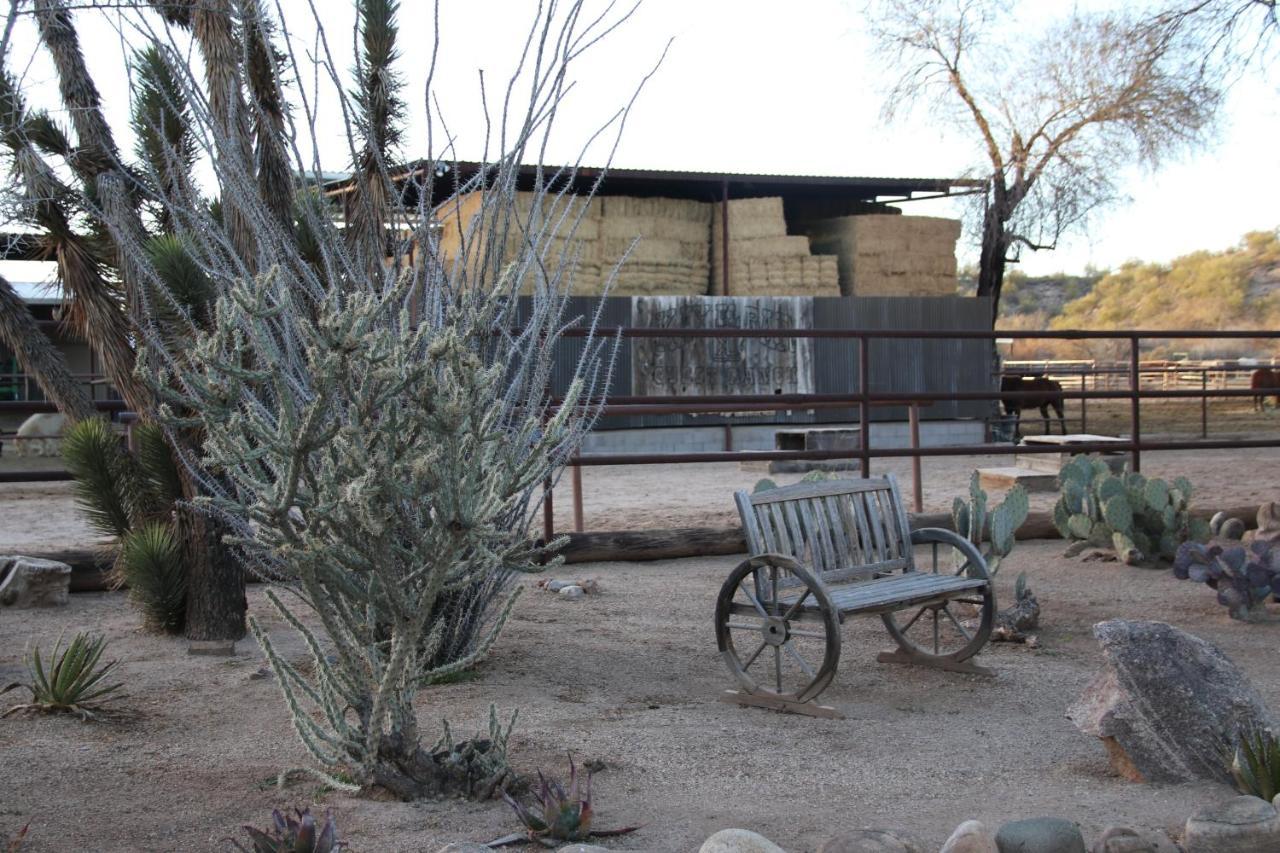 Hotel Kay El Bar Guest Ranch Wickenburg Exteriér fotografie